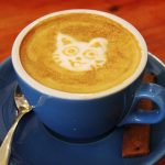 Koffie met katje