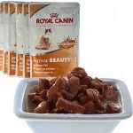 Royal Canin Intense Beauty in Saus