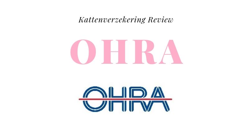 Kattenverzekering Review Ohra