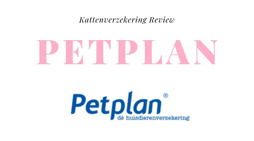 Kattenverzekering Review PetPlan