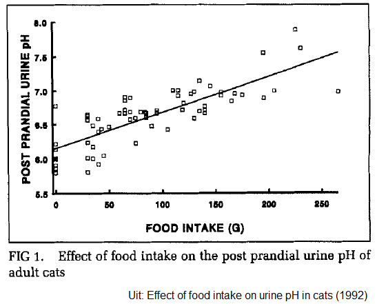 Effect van voeding inname op urine pH waarde