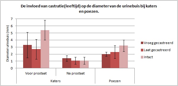 Grafiek diameters urinewegen