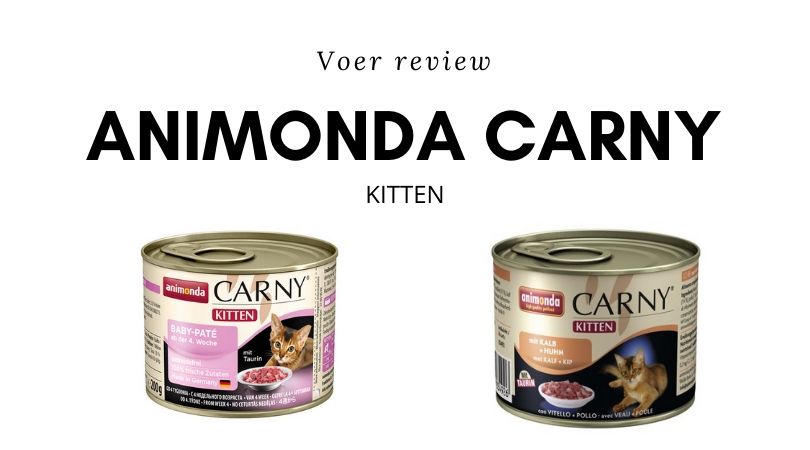 Animonda Carny Kitten Review
