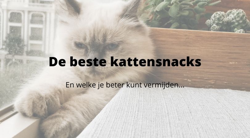Glimmend Nauwgezet Beknopt De top 5 beste kattensnoepjes (en welke snacks liever niet) - Catmoneo