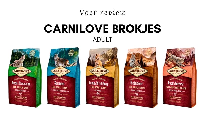Voer review Carnilove Brokjes