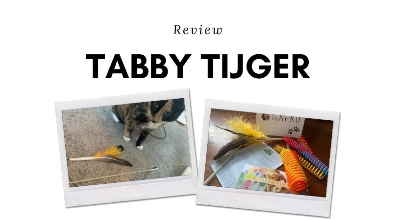Tabby Tijger Speelhengel Review