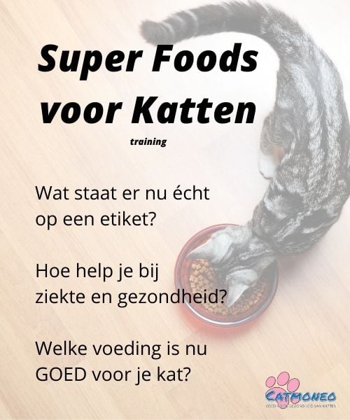 Super Foods voor Katten (homepage)